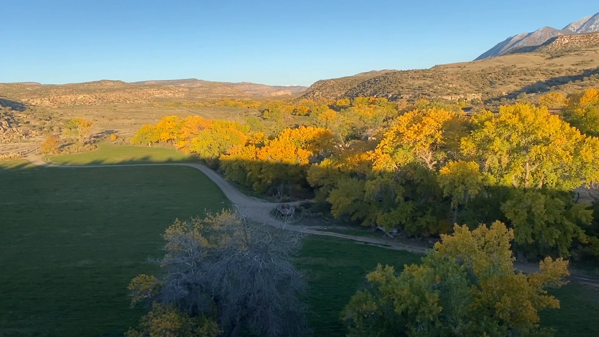 Canyon Of The Ancients Guest Ranch | Colorado Adventures